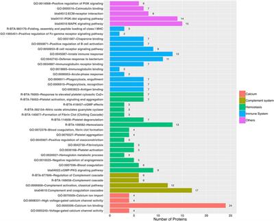 Proteomic changes of the bovine blood plasma in response to heat stress in a tropically adapted cattle breed